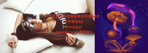винт Алексин