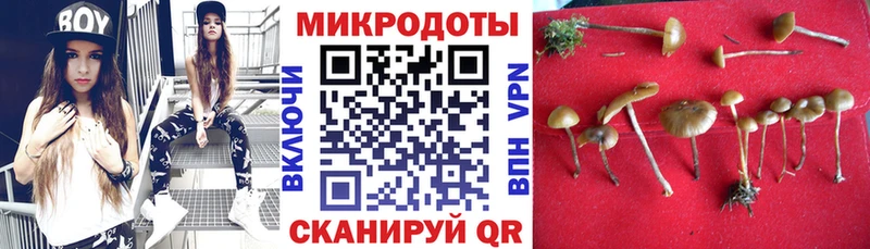 Псилоцибиновые грибы мицелий  где купить наркоту  Заинск 