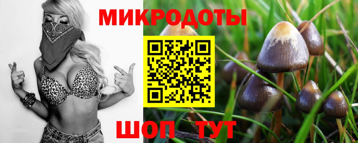 Заинск  Псилоцибиновые грибы мухоморы  Вход с VPN  Псилоцибиновые грибы MAGIC MUSHROOMS 