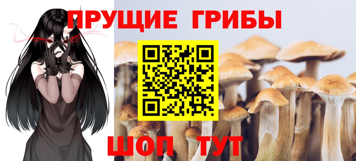 Псилоцибиновые грибы прущие грибы Заинск